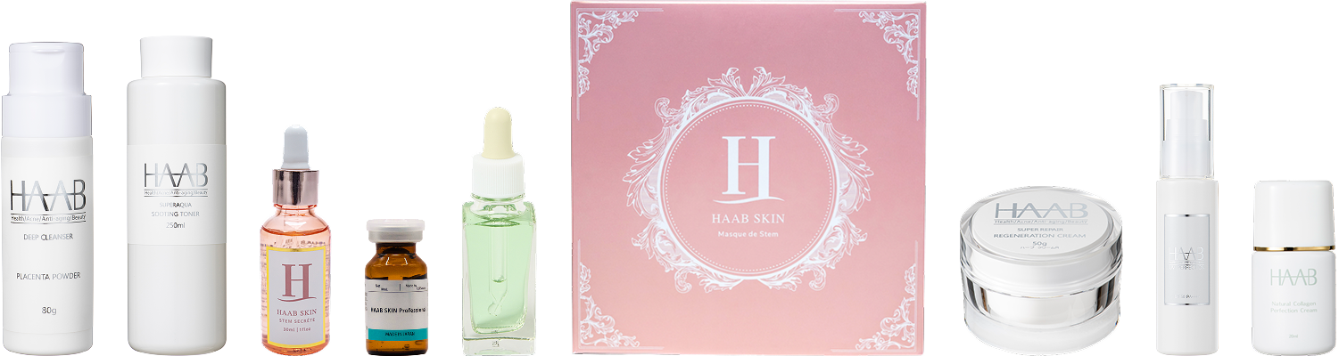 製品の使用手順